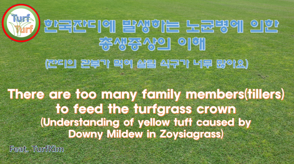 18e59a0f2bf64443d34fae652e4e1758_1670737504_0537.png